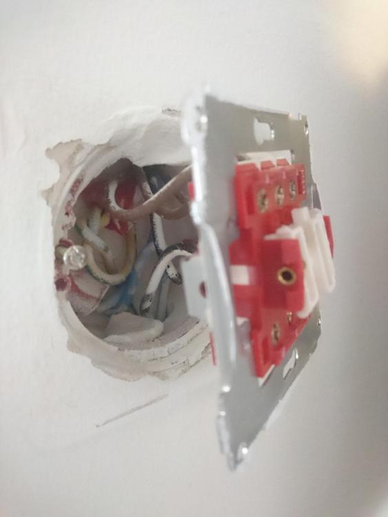 NmJHNnh1 (Large).jpeg