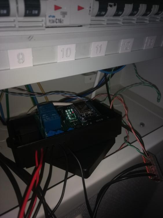 2018-09-22 19.35.47.jpg