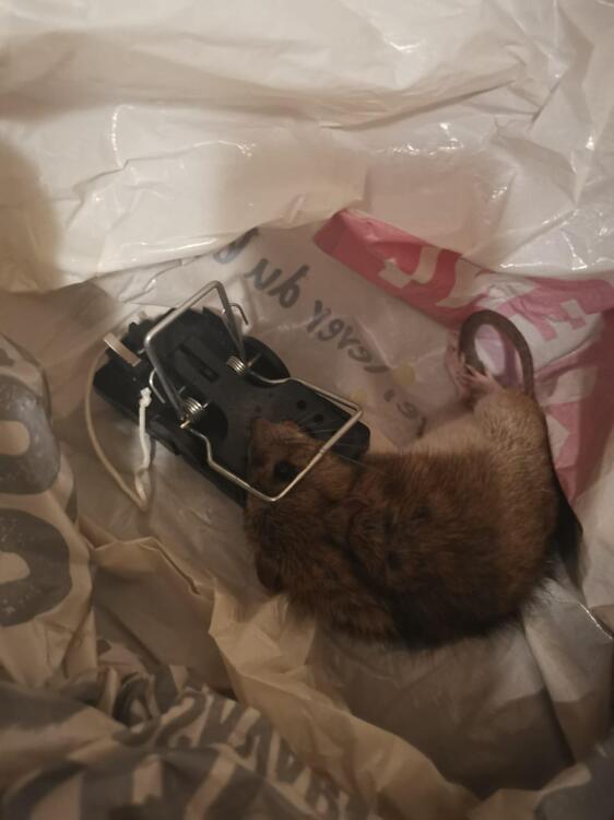 WhatsApp Image 2022-02-23 at 18.52.42.jpeg