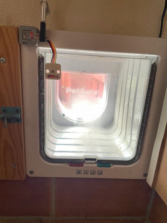 Katteluke med sensor.jpg